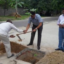 Compensatory Plantation By NHIDCL Officers at National Rose Garden, Chanakyapuri, New Delhi On August 4, 2016