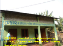 स्वास्थ्य: जीवन की देखभाल 